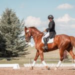 Combien coûte l'entretien d'un cheval tout au long de l'année ?